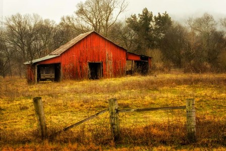 In the Country by Andy Amos art print