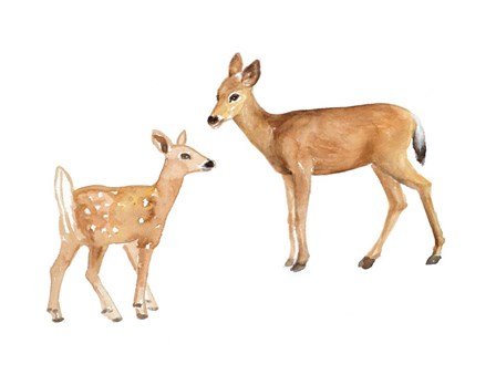 Two Young Deer by Lanie Loreth art print