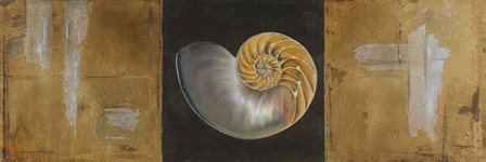 Seashells II by Patricia Pinto art print