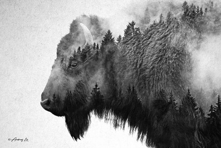 Black &amp; White Bison by Andreas Lie art print