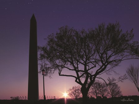 Nightfall at the Washington Monument by Lori Deiter art print