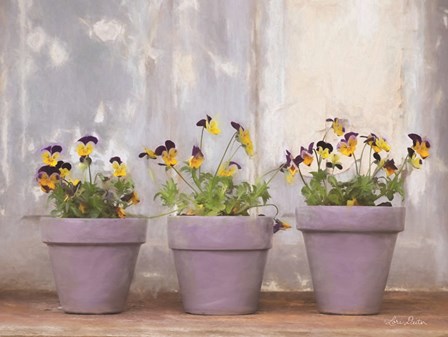 Pansy Still Life I by Lori Deiter art print