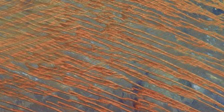 Desert Patterns II by Alicia Ludwig art print