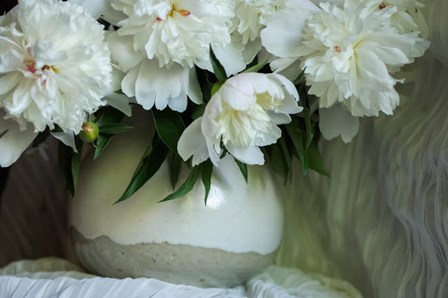 White Peonies In Cream Pitcher 5 by Anna Miller / Danita Delimont art print