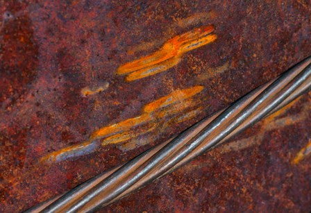 Rust Abstract by Zandria Muench Beraldo / Danita Delimont art print