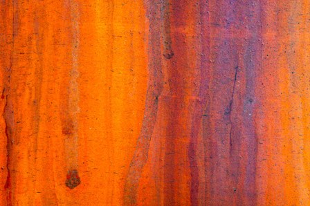 Details Of Rust And Paint On Metal 5 by Zandria Muench Beraldo / Danita Delimont art print