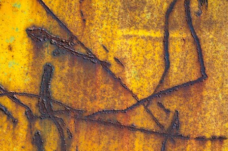 Details Of Rust And Paint On Metal 12 by Zandria Muench Beraldo / Danita Delimont art print