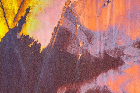 Details Of Rust And Paint On Metal 13 by Zandria Muench Beraldo / Danita Delimont art print