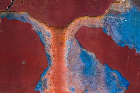 Details Of Rust And Paint On Metal 16 by Zandria Muench Beraldo / Danita Delimont art print