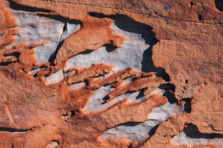 Sandstone Rock by Zandria Muench Beraldo / Danita Delimont art print