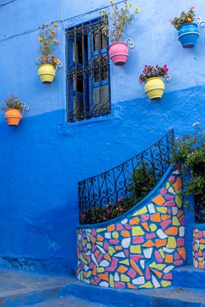 Morocco, Chefchaouen Colorful House Exterior by Jaynes Gallery / Danita Delimont art print