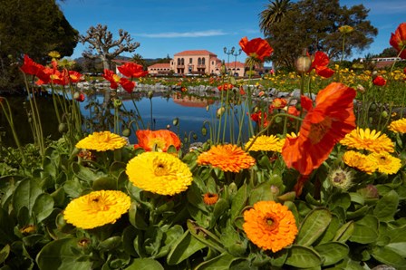 Flowers And Blue Baths, Government Gardens, Rotorua, North Island, New Zealand by David Wall / Danita Delimont art print