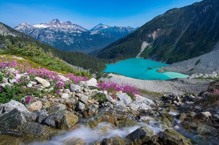 British Columbia, Meltwater Stream Flows Past Wildflowers Into Upper Joffre Lake by Yuri Choufour / DanitaDelimont art print