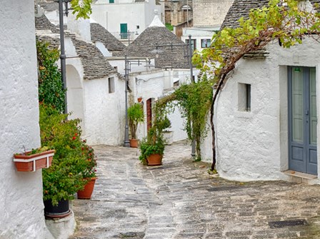 Typical Trulli Houses In Alberobello by Julie Eggers / Danita Delimont art print