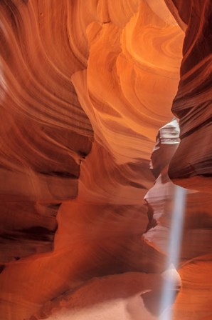 Sunbeam In Upper Antelope Canyon Near Page, Arizona, USA by Chuck Haney / Danita Delimont art print