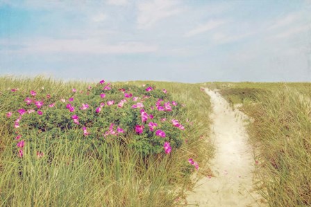 Beach Roses by Brooke T. Ryan art print