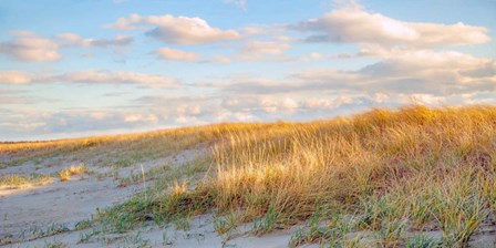 Grassy Dunes Panorama by Brooke T. Ryan art print