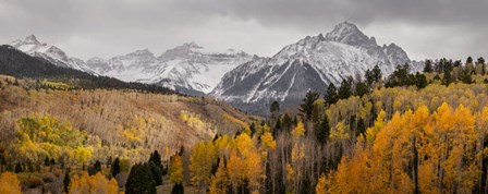 Colorado, San Juan Mountains, Panoramic Of Storm Over Mountain And Forest by Jaynes Gallery / Danita Delimont art print