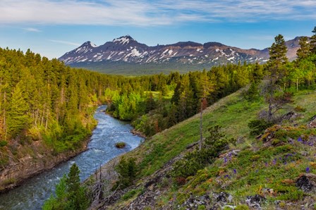 The South Fork Of The Two Medicine River In The Lewis And Clark National Forest, Montana by Chuck Haney / Danita Delimont art print