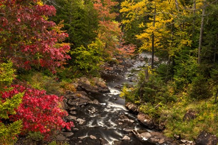 New York, Adirondack State Park Stream And Forest In Autumn by Jaynes Gallery / Danita Delimont art print
