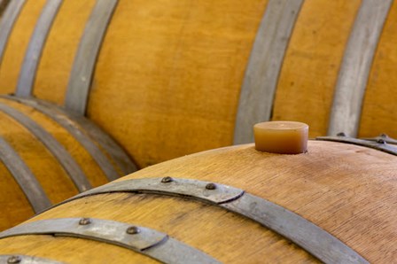 Oregon, Elk Cove Winery Oak Barrels Close-Up by Jaynes Gallery / Danita Delimont art print