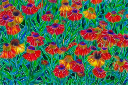 Oregon, Coos Bay, Abstract Of Helenium Flowers In Garden by Jaynes Gallery / Danita Delimont art print