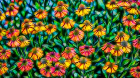 Oregon, Coos Bay Abstract Of Flower Garden by Jaynes Gallery / Danita Delimont art print