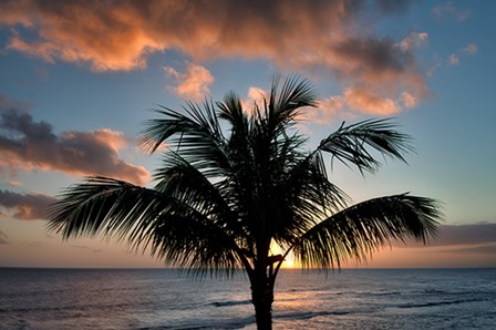 Palm Tree Sunset II by Dennis Frates art print