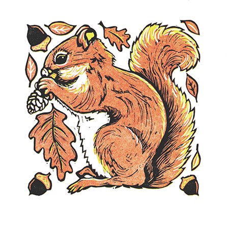 Squirrel by Lisa Kesler art print