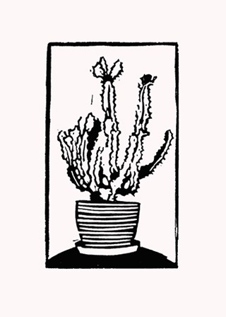 Black Cactus by Lisa Kesler art print