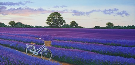 Evening Lavender by Julie Peterson art print