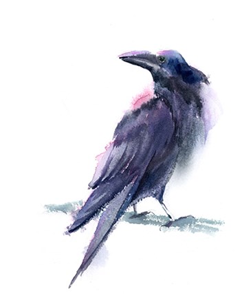 Crow II by Olga Shefranov art print