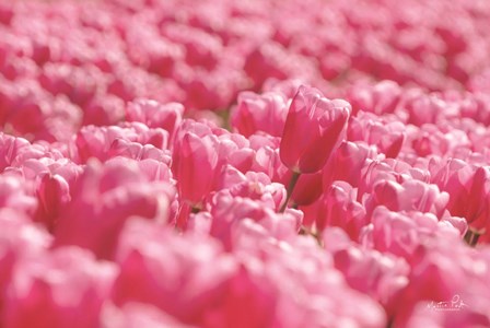 Pink Field by Martin Podt art print