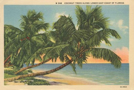 Florida Postcard III by Wild Apple Portfolio art print