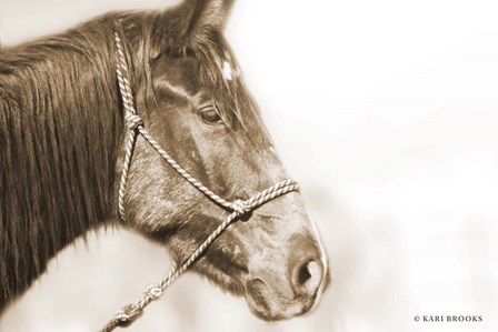 Sepia Thunder by Kari Brooks art print