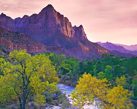 Utah, Zion National Park The Watchman Formation And The Virgin River In Autumn by Jaynes Gallery / Danita Delimont art print