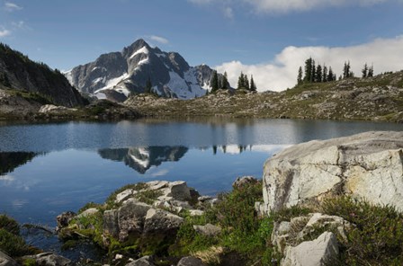 Whatcom Peak Reflected In Tapto Lake, North Cascades National Park by Alan Majchrowicz / DanitaDelimont art print