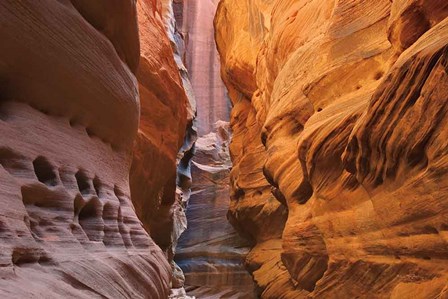 Buckskin Gulch V by Alan Majchrowicz art print