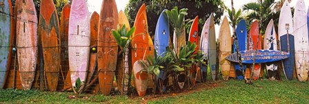 Arranged Surfboards, Maui, Hawaii by Panoramic Images art print