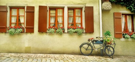Bicycle Outside A House, Bavaria, Germany by Panoramic Images art print