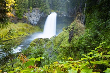 Scenic View Of Waterfall, Portland, Oregon by Panoramic Images art print