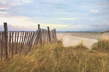 West Wittering Beach by Assaf Frank art print