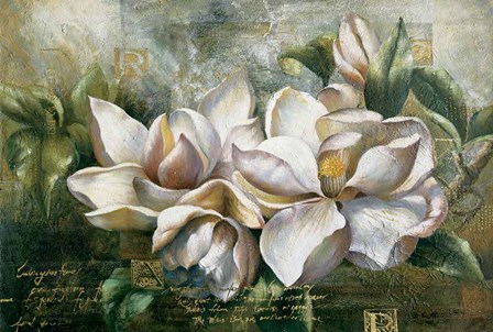 Dawning Magnolias by Fangyu Meng art print