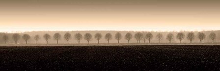 Dappled Morning Fields by Heather Ross art print