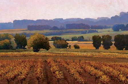 Terroir by Kent Lovelace art print