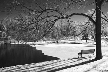 Heritage Pond In Winter by Monte Nagler art print