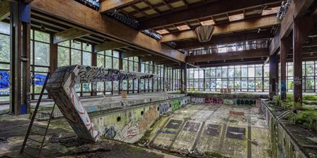 Abandoned Resort Pool, Upstate NY (detail) by Richard Berenholtz art print