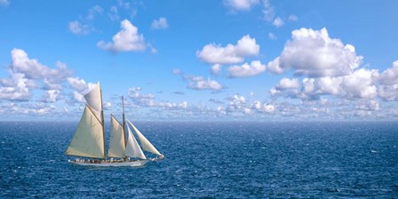 Ocean Sailing by Pangea Images art print