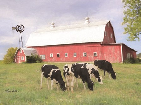 Henderson Cows by Lori Deiter art print