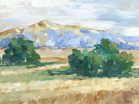 Sunny Field II by Ethan Harper art print